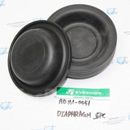 AD161-0051    EVERDIGM EHD210